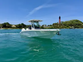 Thumbnail von Boston Whaler 280 Dauntless