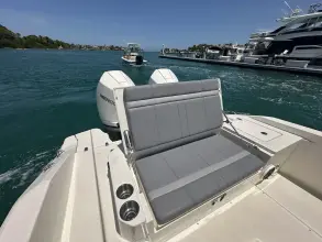 Thumbnail von Boston Whaler 280 Dauntless