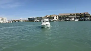 Thumbnail von Boston Whaler 305 Conquest