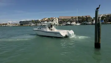 Thumbnail von Boston Whaler 305 Conquest
