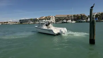 Thumbnail von Boston Whaler 305 Conquest