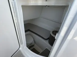 Thumbnail von Sea Ray SDX 250 Außenborder
