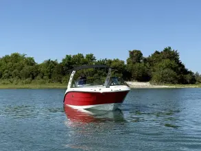 Thumbnail von Sea Ray SDX 250 Außenborder