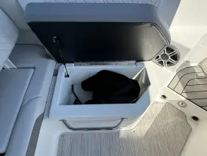 Thumbnail von Sea Ray SDX 250 Außenborder