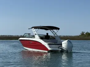Thumbnail von Sea Ray SDX 250 Außenborder