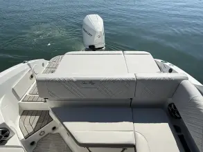 Thumbnail von Sea Ray SDX 250 Außenborder
