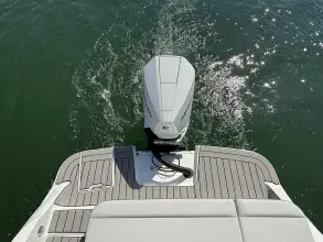 Thumbnail von Sea Ray SDX 250 Außenborder