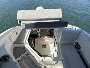 Thumbnail von Sea Ray SDX 250 Außenborder