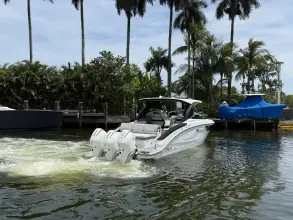 Thumbnail von Sea Ray 360SXO