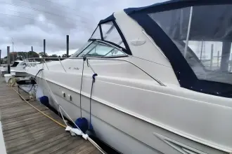 Thumbnail von Sea Ray 460 Sundancer Irish Rover