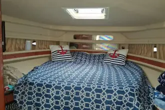 Thumbnail von Sea Ray 460 Sundancer Irish Rover