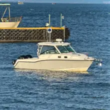 Thumbnail von Boston Whaler 315 Conquest FORTUNATE SON