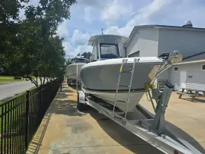 Thumbnail von Pursuit S 248