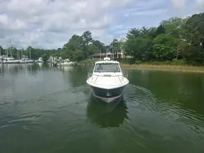 Thumbnail von Pursuit OS325 Offshore