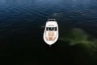 Thumbnail von Boston Whaler 380 Outrage