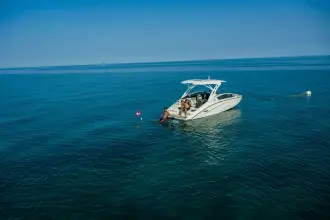 Thumbnail von Yamaha 275SD