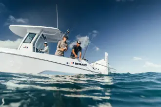 Thumbnail von Wellcraft Fisherman 243