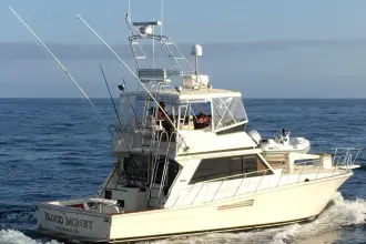 Viking 48 Convertible