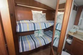 Thumbnail von Viking 48 Convertible