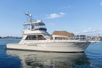 Thumbnail von Viking 48 Convertible