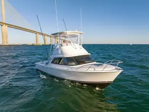 Thumbnail von Bertram 35 Flybridge
