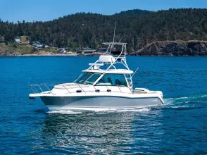 Thumbnail von Boston Whaler 345 Conquest BARB