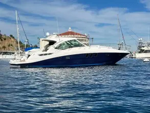 Thumbnail von Sea Ray 480 Sundancer Rogue