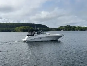 Thumbnail von Sea Ray 340 Sundancer