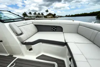 Thumbnail von Sea Ray SDX 290 Außenborder