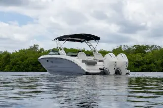 Thumbnail von Sea Ray SDX 290 Außenborder