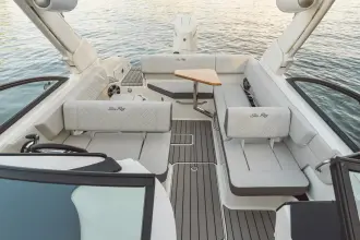Thumbnail von Sea Ray SDX 270 Außenborder