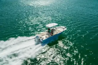 Thumbnail von Boston Whaler 210 Montauk