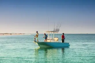 Thumbnail von Boston Whaler 210 Montauk