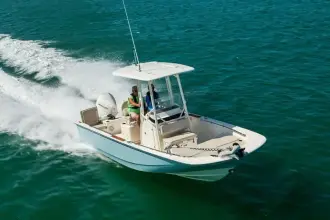 Thumbnail von Boston Whaler 210 Montauk
