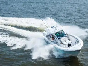 Everglades 375 CC