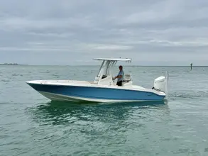 Boston Whaler 250 Dauntless