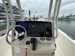 Thumbnail von Boston Whaler 250 Dauntless