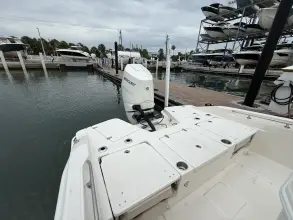 Thumbnail von Boston Whaler 250 Dauntless