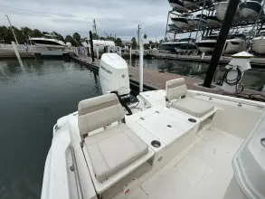 Thumbnail von Boston Whaler 250 Dauntless