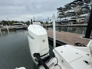 Thumbnail von Boston Whaler 250 Dauntless