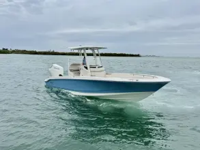 Thumbnail von Boston Whaler 250 Dauntless