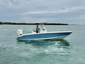 Thumbnail von Boston Whaler 250 Dauntless