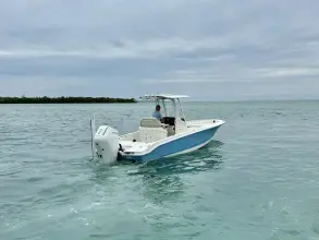 Thumbnail von Boston Whaler 250 Dauntless