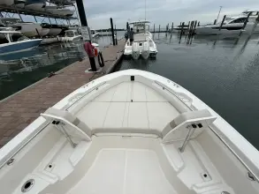 Thumbnail von Boston Whaler 250 Dauntless