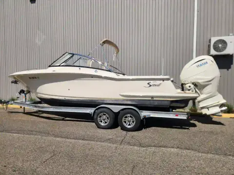 Scout 255 Dorado