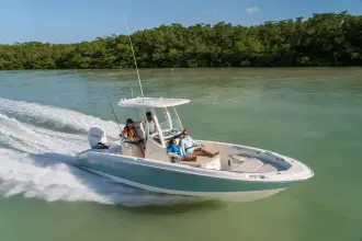 Thumbnail von Boston Whaler 250 Dauntless