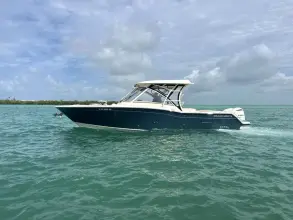 Thumbnail von Grady White Freedom 325