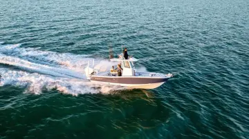 Blackfin 262 HB