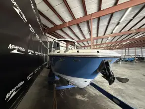 Thumbnail von Sea Ray SDX 270 Surf