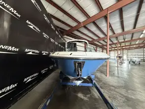 Thumbnail von Sea Ray SDX 270 Surf